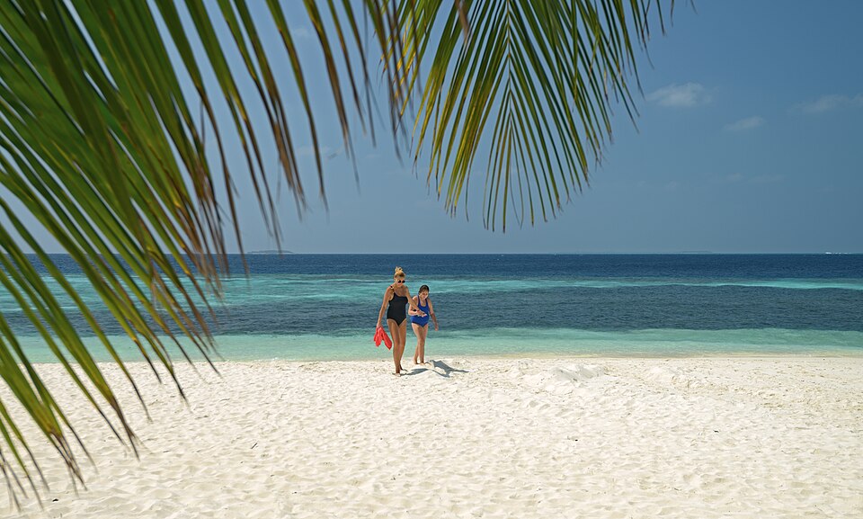 Beach under palm trees. Eriyadu, Maldives