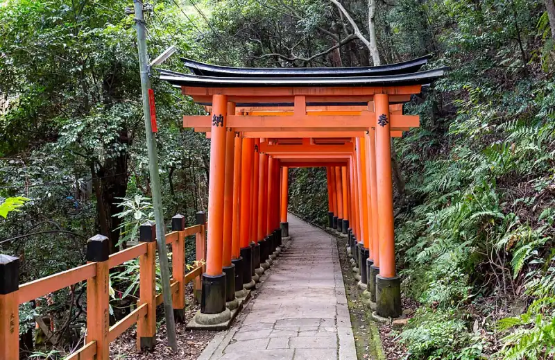 Torii gates at Fushimi Inari, Kyoto